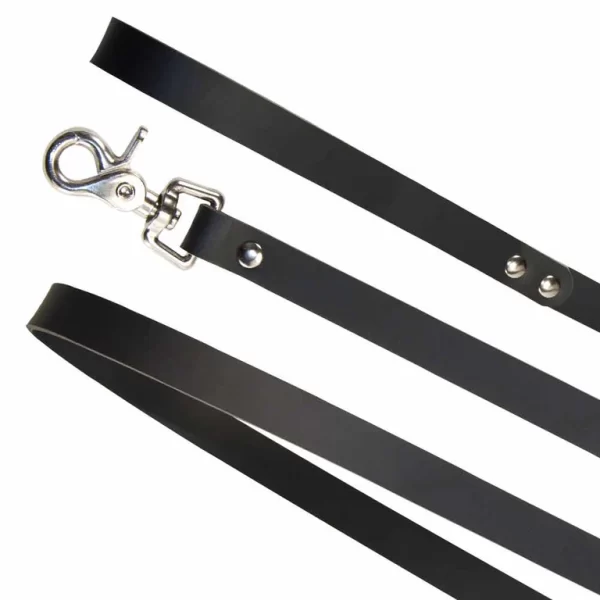 XBLISS Full Leather Lead 34"